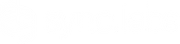 Sync Labs