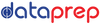 DataPrep.ai