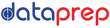 DataPrep.ai