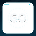 Goose