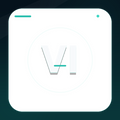 Vidyo Ai